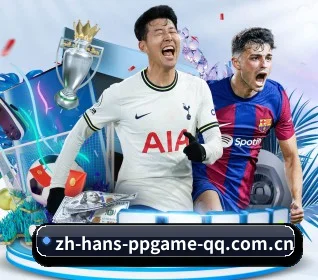pp电子网页端 APP